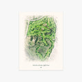 Mountain Meadows Golf Course printed artwork