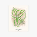 Muroc Lake Golf Course printed artwork