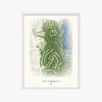 Ocean County Golf Course white frame