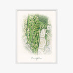 Paramus Golf Course white frame