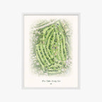 Pine Hollow Country Club white frame