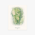 Poolsbrook Golf Course printed artwork