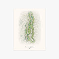 Renaissance Golf Course printed artwork