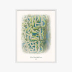 River Strand Golf Course white frame