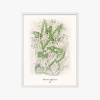 Riverview Golf Course white frame