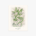 Riverview Golf Course printed artwork
