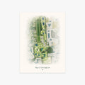 Royal St. Cloud Golf Links printed artwork