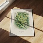 Salem Golf Club mockup 5