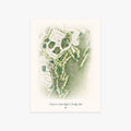 Schalamar Creek Golf & Country Club printed artwork