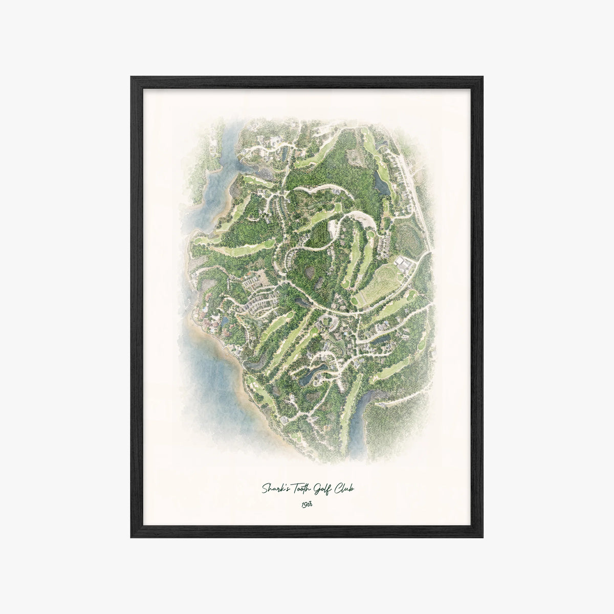 Shark's Tooth Golf Club black frame