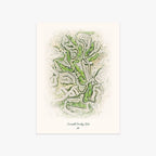 Somersett Country Club printed artwork