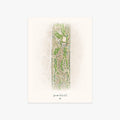 Spanish Trail C.C. printed artwork