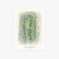 St. Johns County Golf Course printed artwork