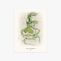 Timber Creek Golf Club printed artwork