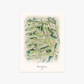 TPC at Prestancia printed artwork