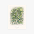 TPC Tampa Bay printed artwork