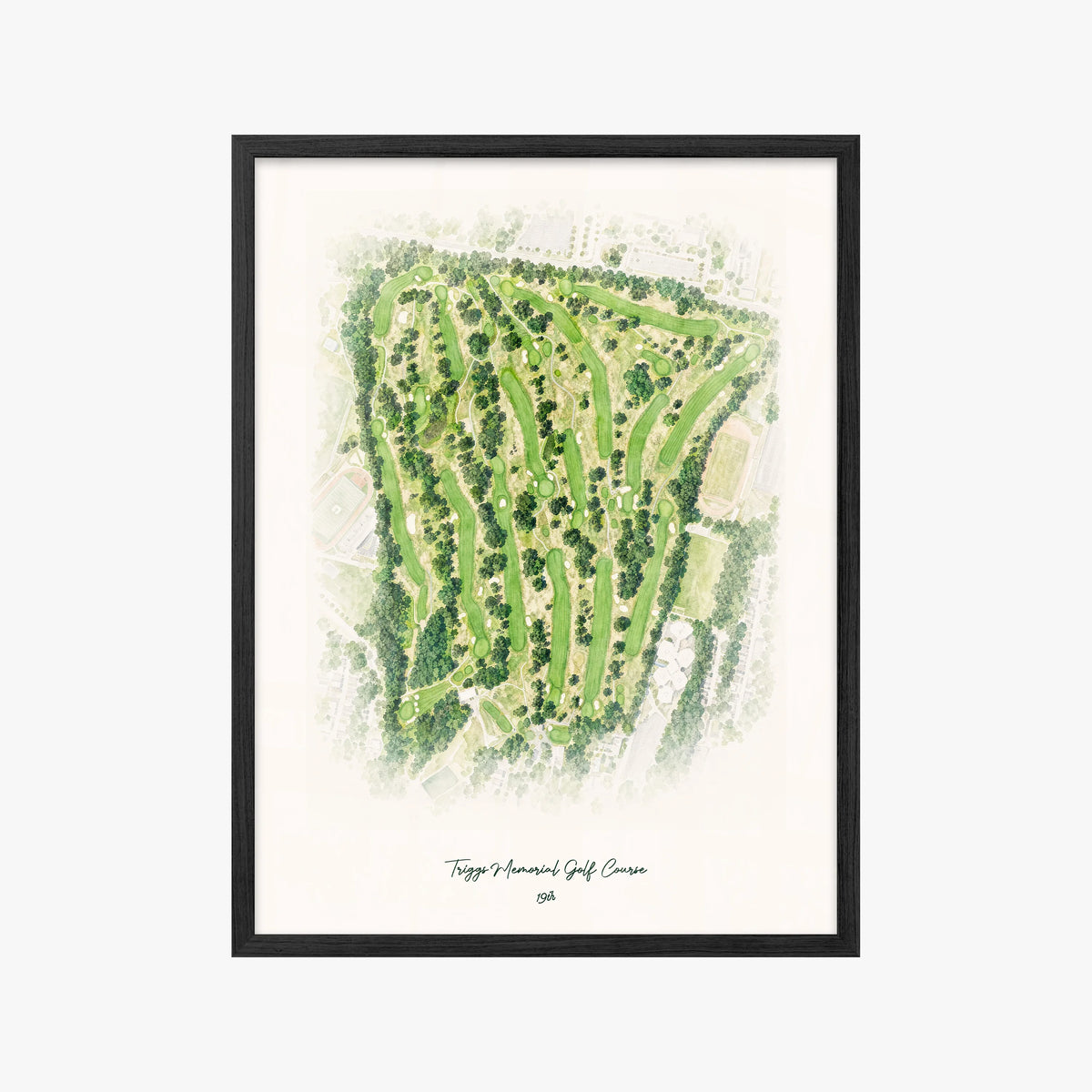 Triggs Memorial Golf Course black frame