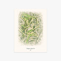 Valleybrook Golf Club printed artwork