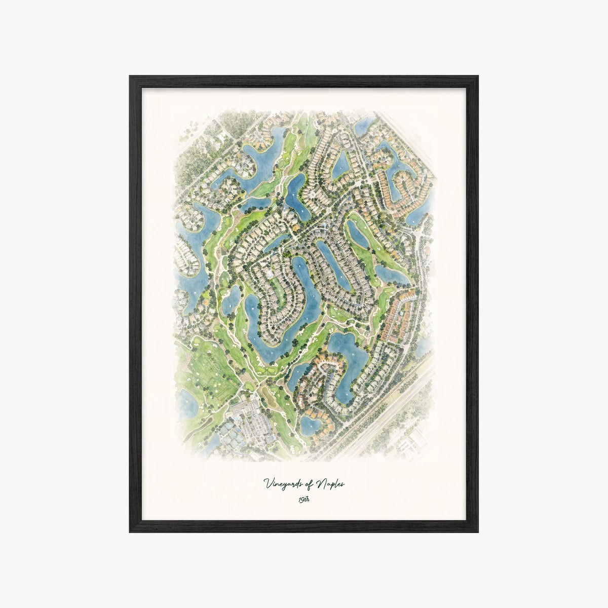 Vineyards of Naples black frame