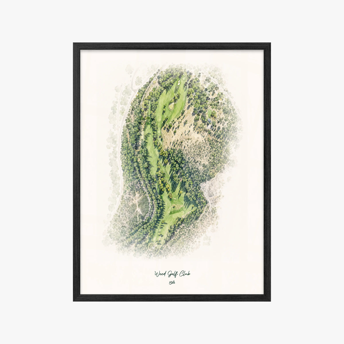Weed Golf Club black frame