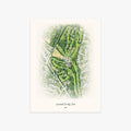 Woodcrest Country Club printed artwork