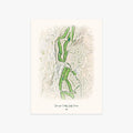 Yucaipa Valley Golf Course printed artwork